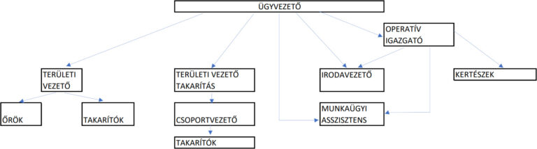 szervezeti felepites