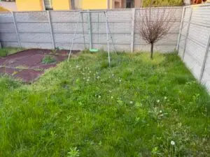 kertepites elotte 2