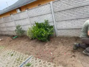 kertepites munkalatok kozben
