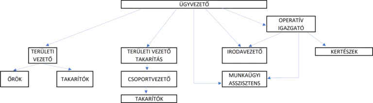 szervezeti felepites