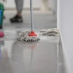 Cichorium Takarítás-09-1650x1100