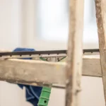 Cichorium Takarítás-12-1100x1650