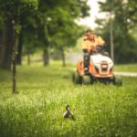 CichroiumKft-Orczy-Fűnyírás-15-1650x1100