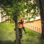 CichoriumKft-Orczy-Fűnyírás-67-1100x1650